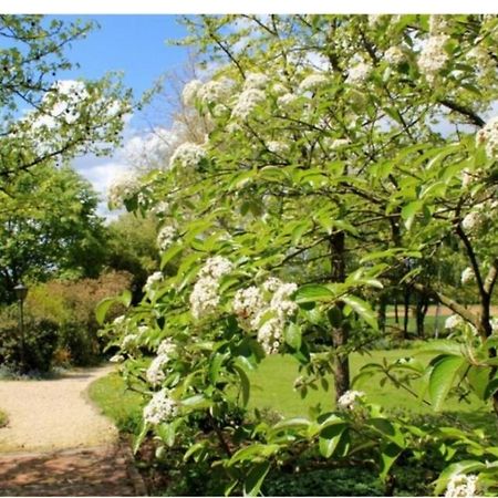 Chambres D'Hotes Les Vignes Montcet Zewnętrze zdjęcie